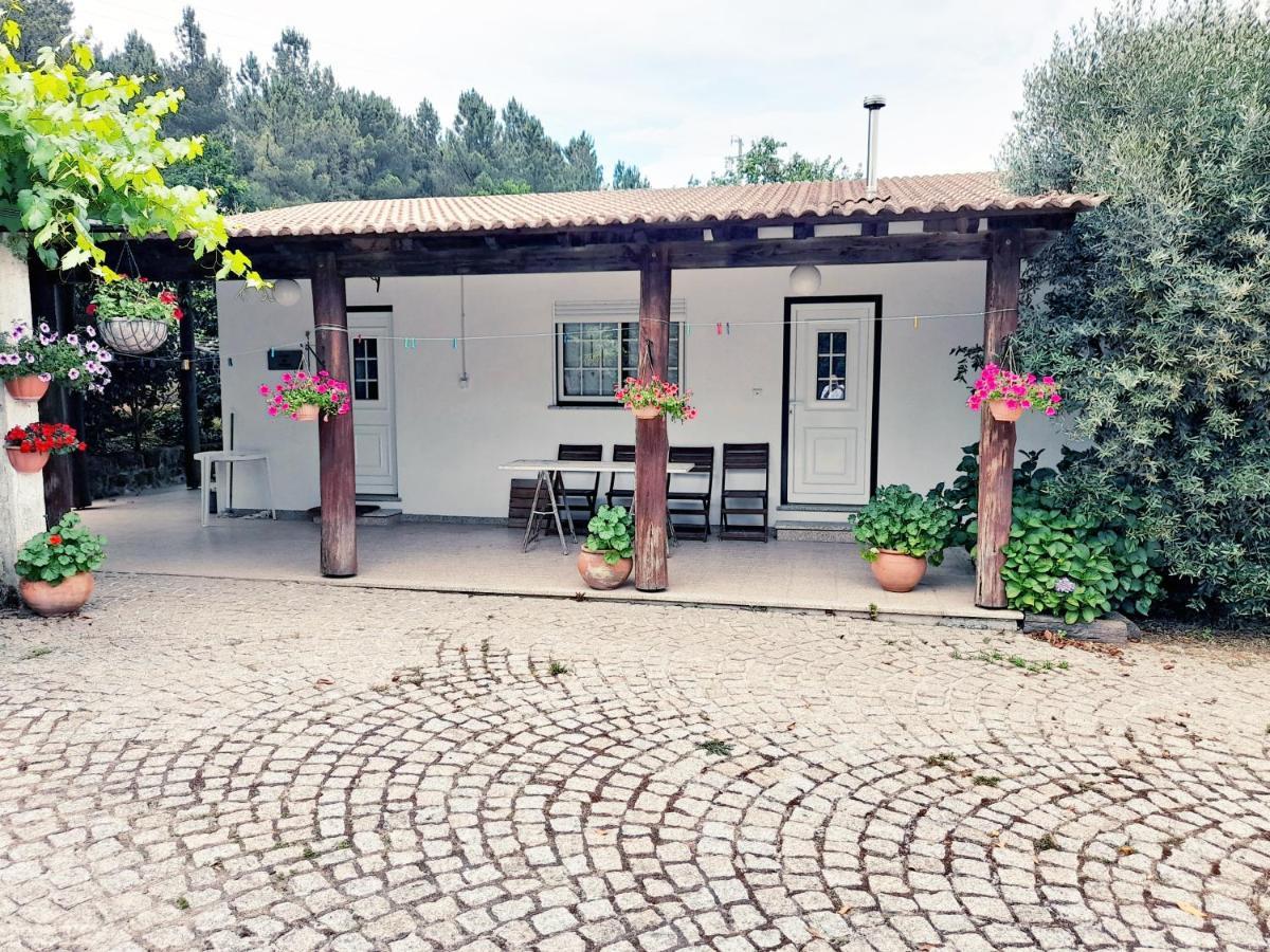 Casa das Aveleiras - Sátão Vila de Igreja Exterior foto